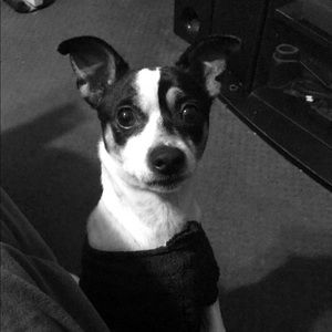 Meet your Posher, Cheri